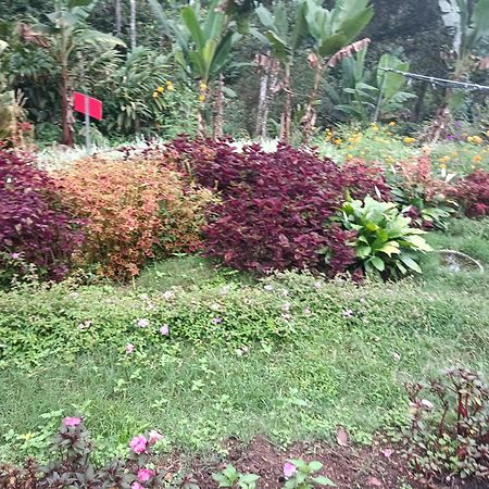 God'S Gift Villa Devikolam Exterior photo
