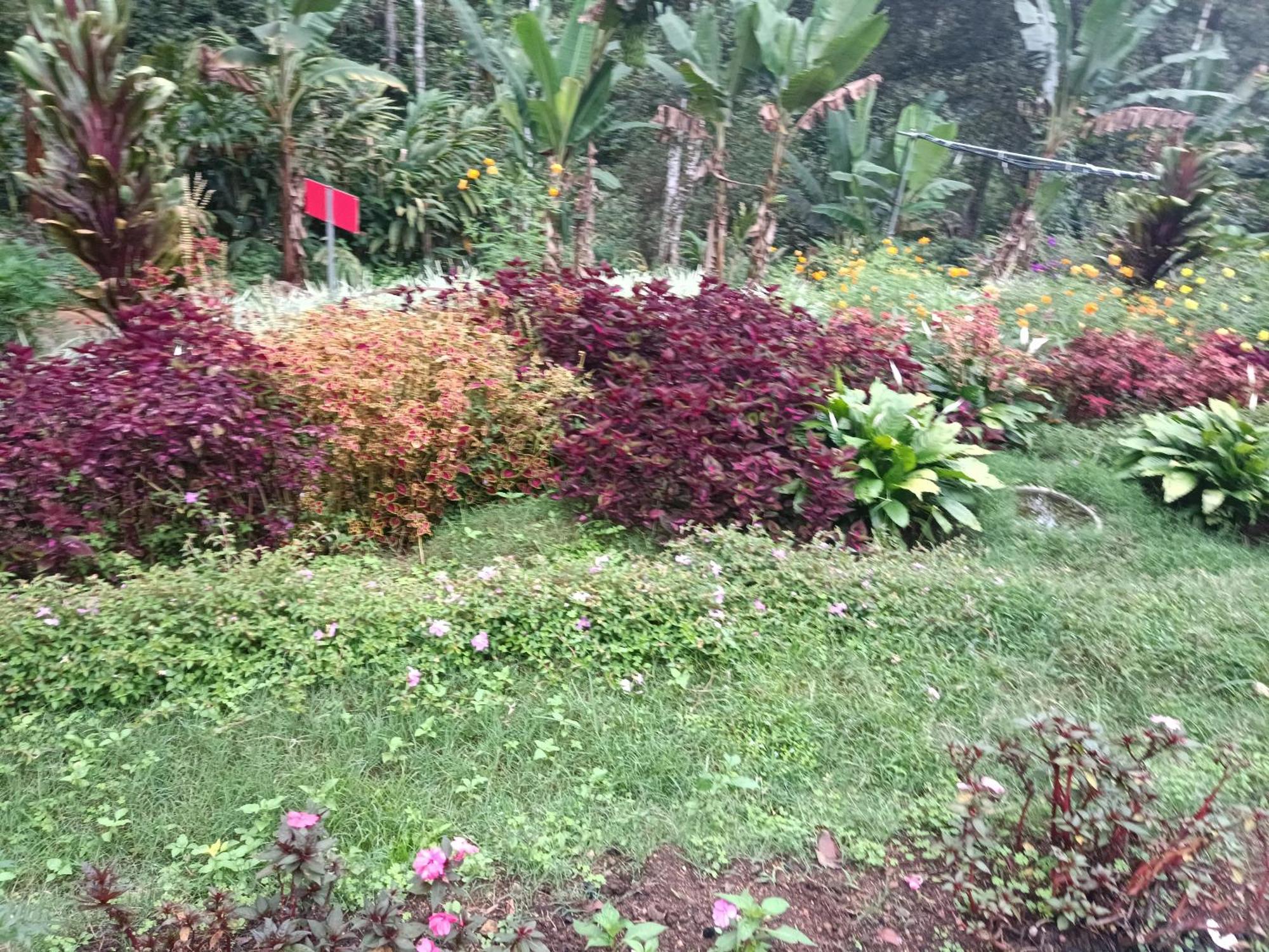 God'S Gift Villa Devikolam Exterior photo